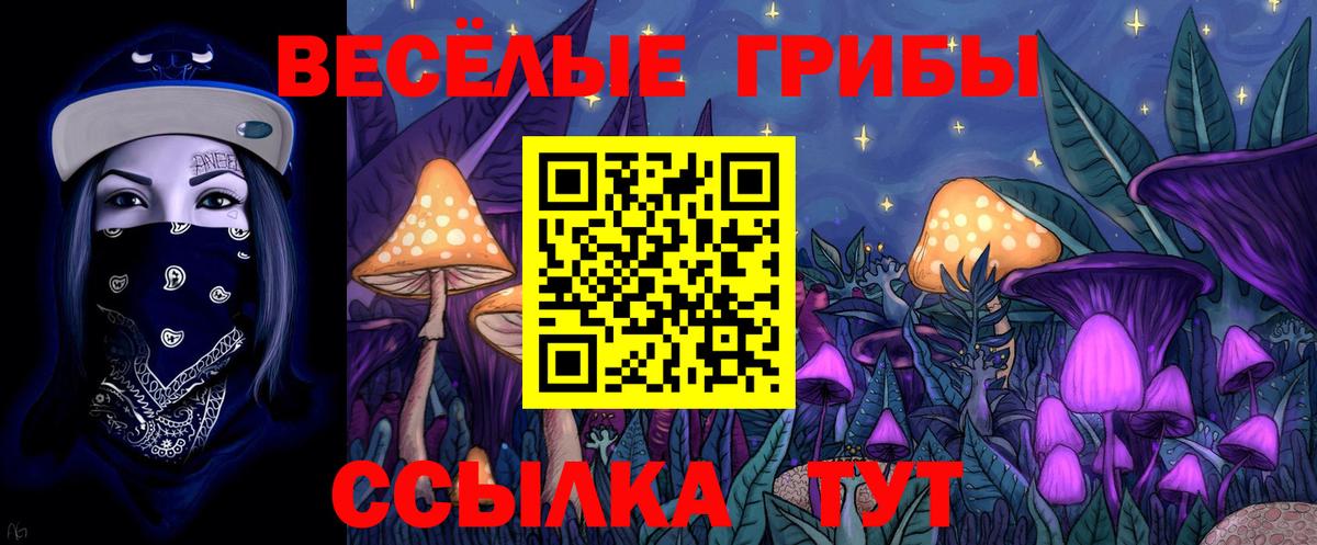 Псилоцибиновые грибы Magic Shrooms Энгельс
